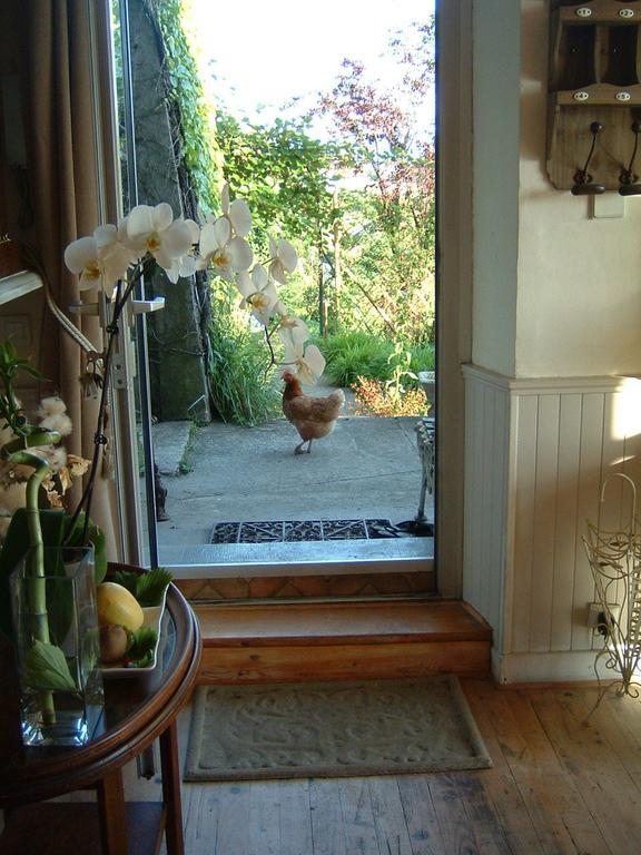Villa Le Lac Cottage Au Bord Du Lac D'Annecy - Chambre Chez L'Habitant - Les Terrasses Du Lac Veyrier-du-Lac Esterno foto